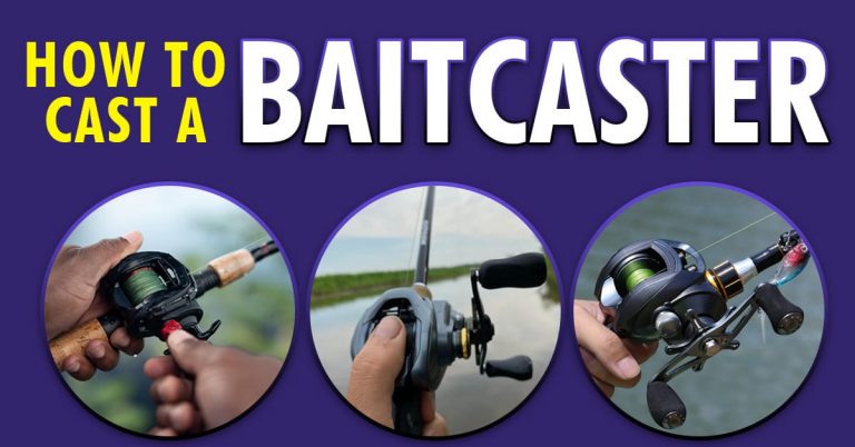How to Cast a Baitcaster Properly- Cast Like a Pro!