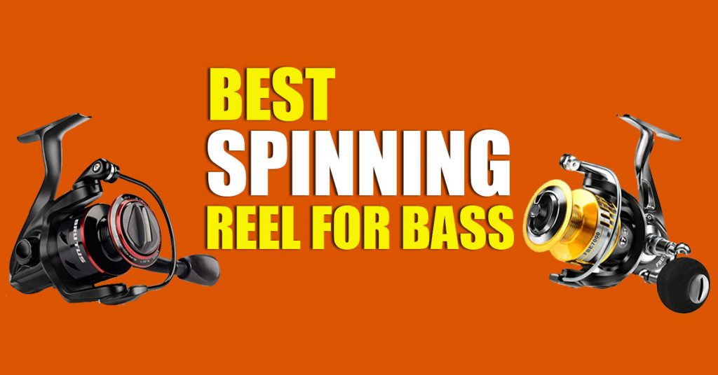 Spinning Reel for Bass
