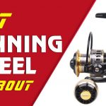 Best Spinning Reel For Trout