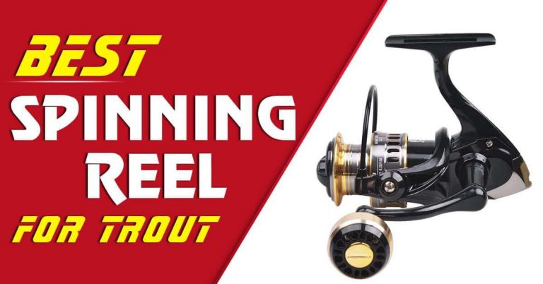 6 Best Top-Rated Trout Spinning Reels [According to Experts]