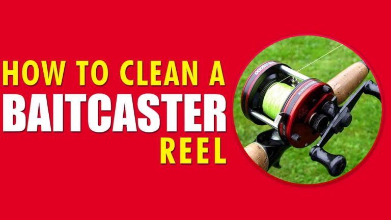 How to clean a baitcaster reel