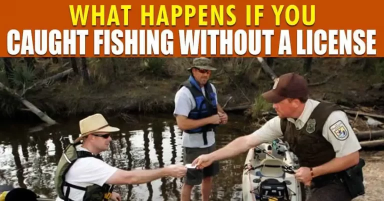 Penalties & Fines for Fishing without a License & Types of License To Buy