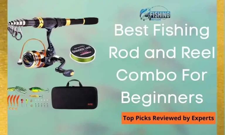 10 Best Beginner Fishing Rod and Reel Combos that we’ve Tested & Reviewed