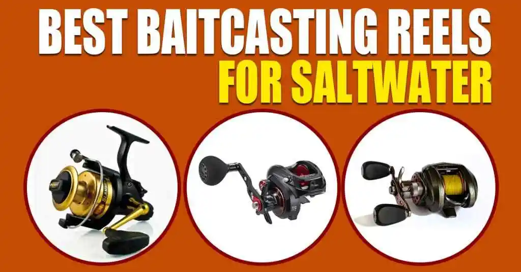 Best Baitcasting Reels for Saltwater