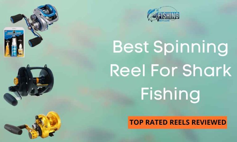 Best Spinning Reel For Shark Fishing We’ve Tested & Reviewed in 2024