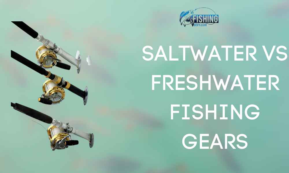 saltwater vs freshwater fishing gears