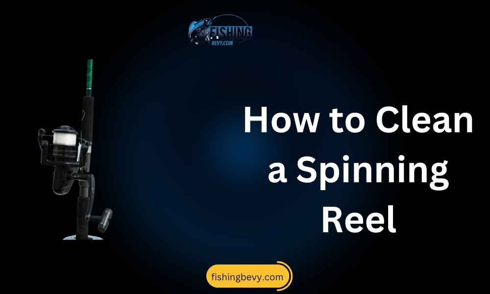 How to Clean a Spinning Reel