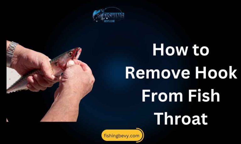 how-to-remove-hook-from-fish-s-throat-do-it-easily-now