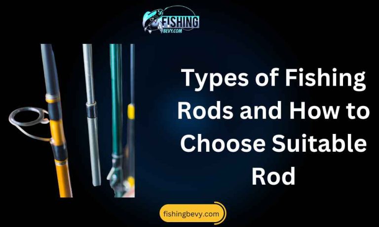 Different Types of Fishing Rods and How to Choose Right Rod