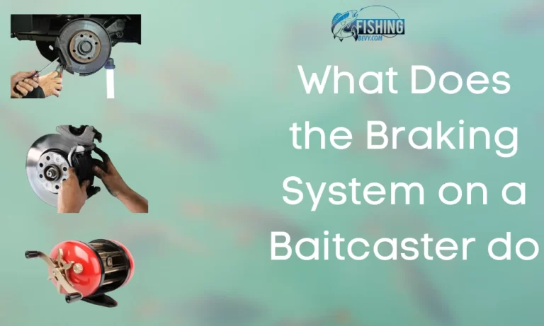 What Does the Braking System on a Baitcaster do [A Complete Guide]